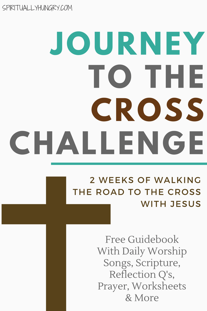 Two Week Journey With Jesus To The Cross Christian Challenge ...