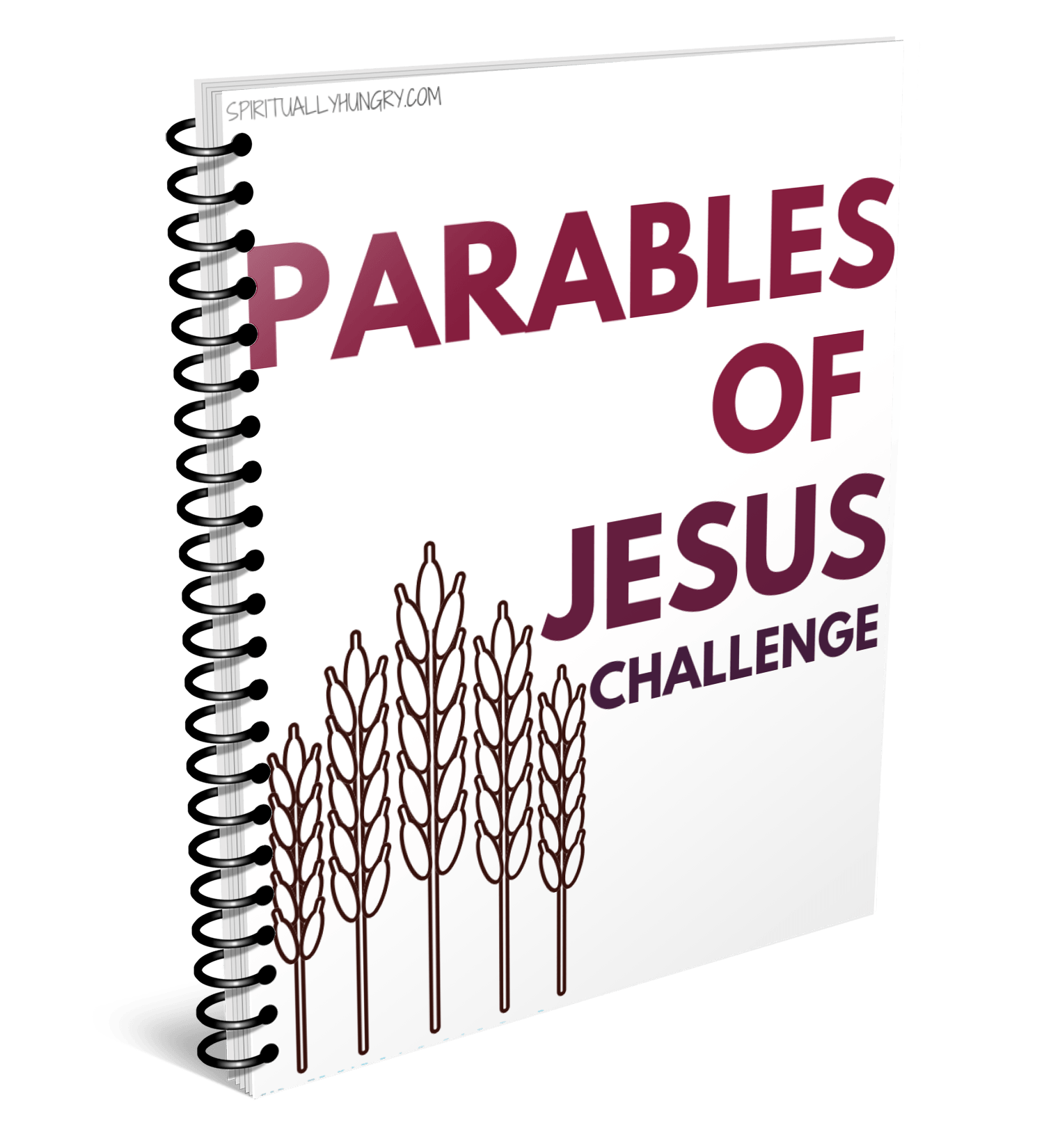 The Powerful Lessons In These Parables Of Jesus You Cant Ignore - 0jzdssl
